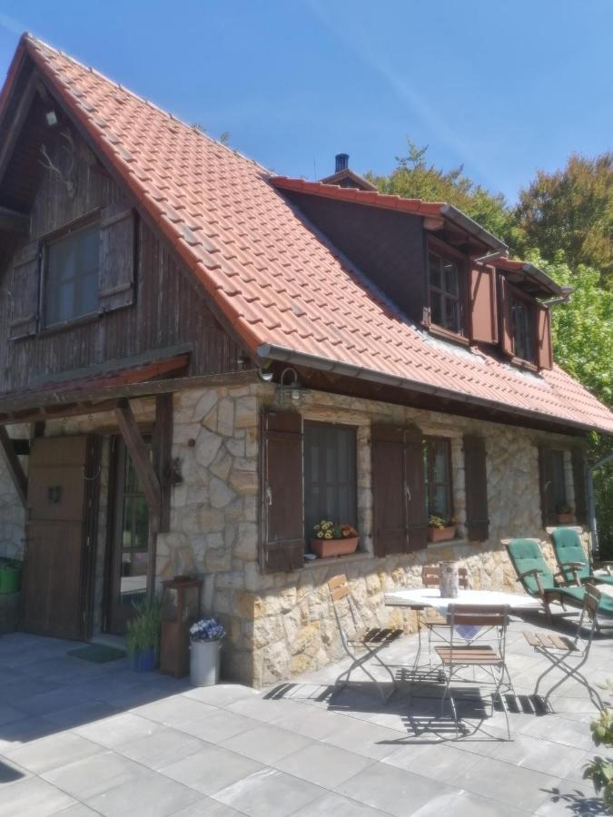 Jagdhaus In Der Rhoen In Voelliger Alleinlage Gersfeld Exteriör bild