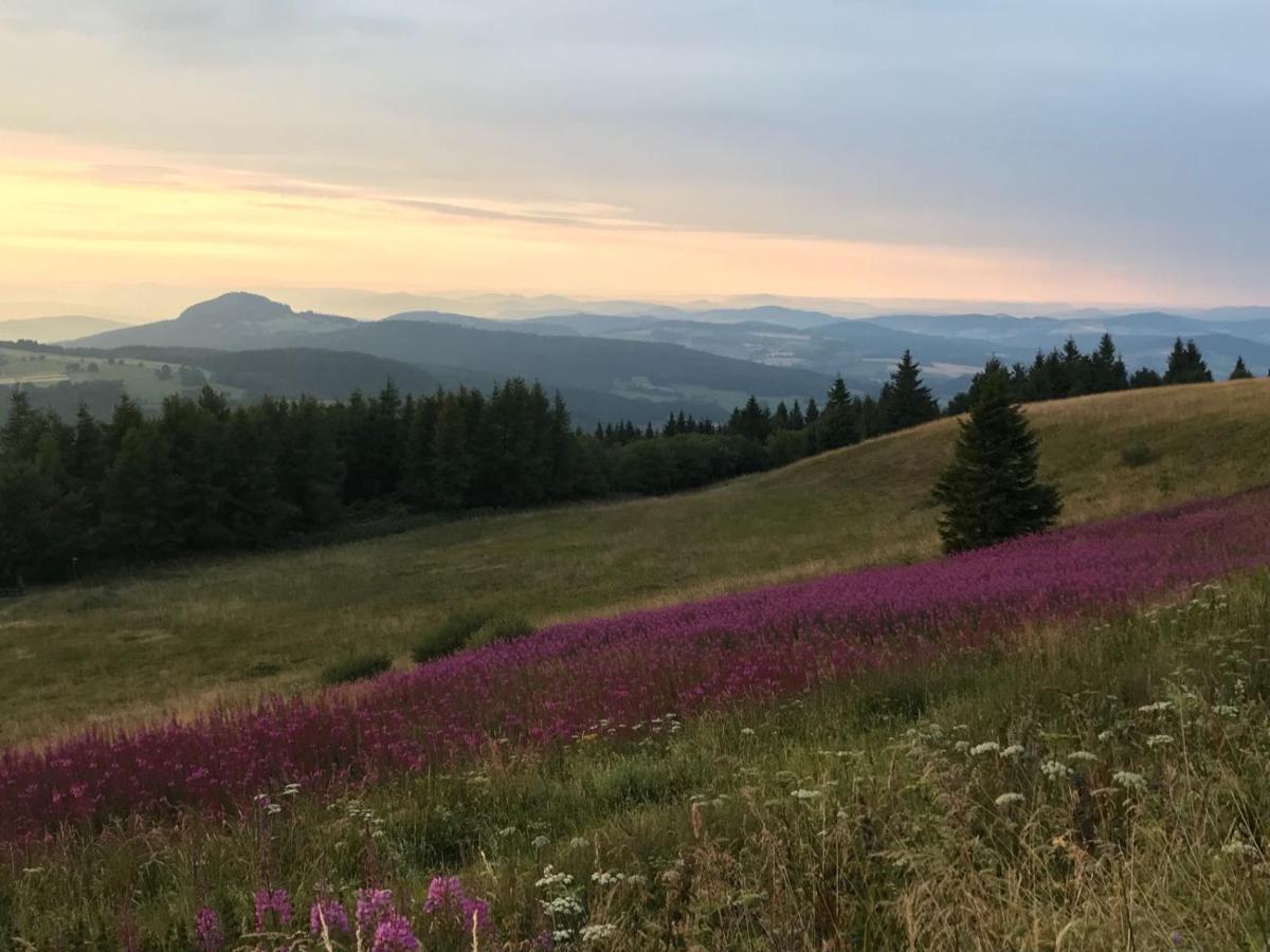 Jagdhaus In Der Rhoen In Voelliger Alleinlage Gersfeld Exteriör bild