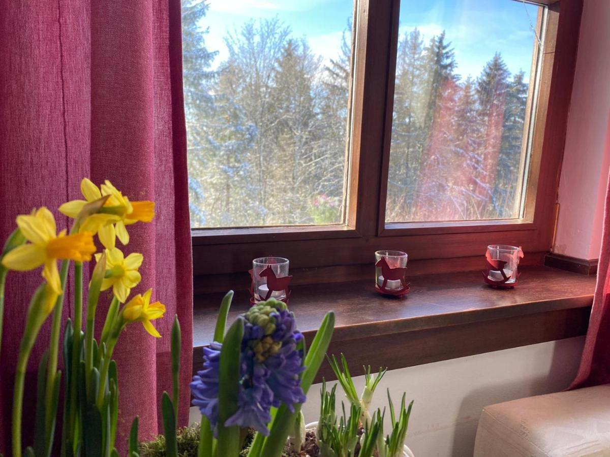 Jagdhaus In Der Rhoen In Voelliger Alleinlage Gersfeld Exteriör bild